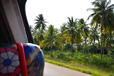 DSC_4644 (Large).JPG